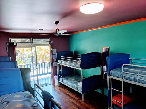 Cool Bananas Backpackers - Accommodation Bookings 5
