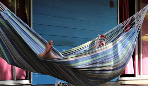 Cool Bananas Backpackers - Accommodation Bookings 3