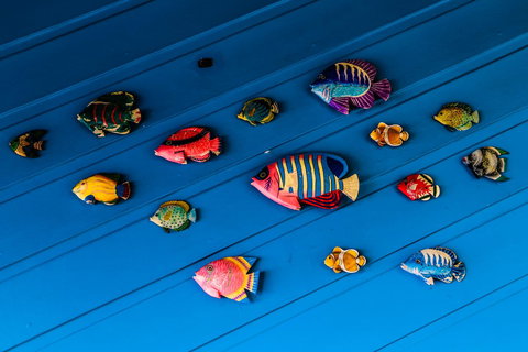 Cool Bananas Backpackers - Accommodation Bookings 20