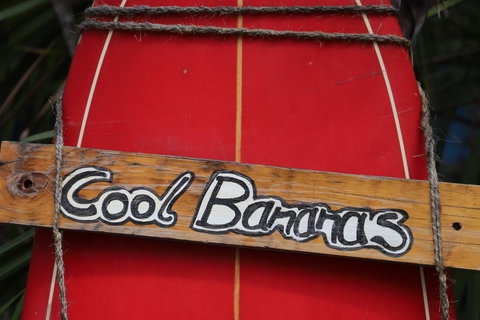 Cool Bananas Backpackers - Accommodation Bookings 41