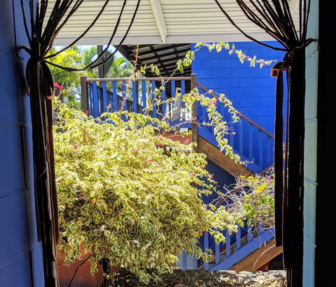 Cool Bananas Backpackers - Accommodation Bookings 10