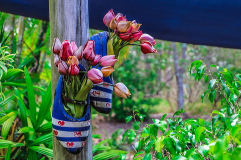 Cool Bananas Backpackers - Accommodation Bookings 26