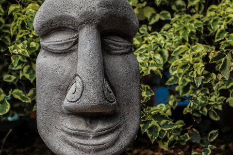 Cool Bananas Backpackers - Accommodation Bookings 23