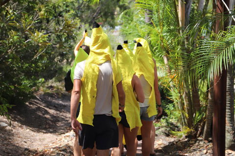 Cool Bananas Backpackers - Accommodation Bookings 19
