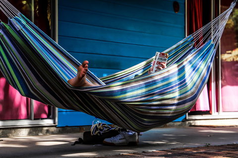 Cool Bananas Backpackers - Accommodation Bookings 25