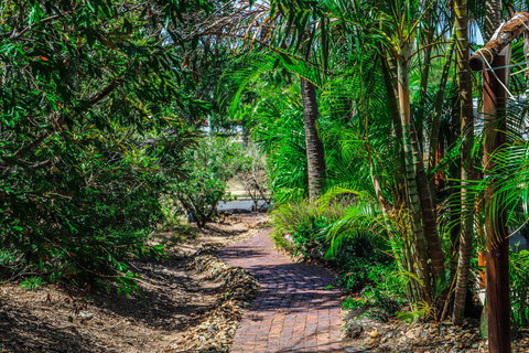 Cool Bananas Backpackers - Accommodation Bookings 15