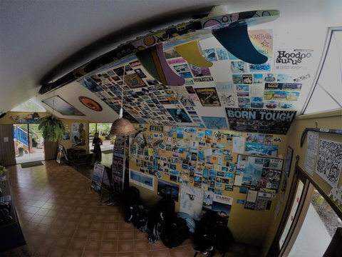 Cool Bananas Backpackers - Accommodation Bookings 31