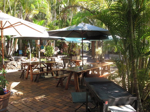 Cool Bananas Backpackers - Accommodation Bookings 16