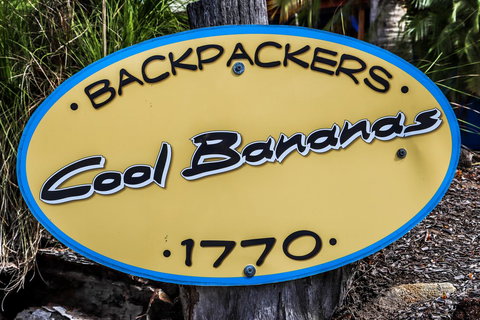 Cool Bananas Backpackers - Accommodation Bookings 38