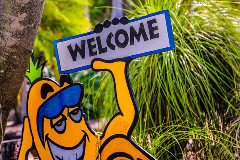 Cool Bananas Backpackers - Accommodation Bookings 37