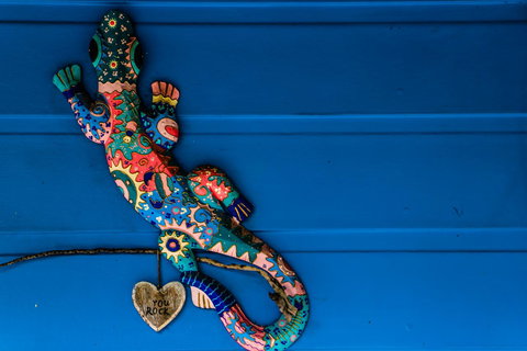 Cool Bananas Backpackers - Accommodation Bookings 21