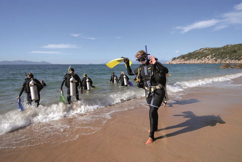 Nomads Magnetic Island - Accommodation Bookings 39
