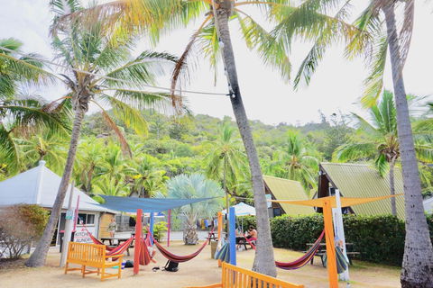 Nomads Magnetic Island - Accommodation Bookings 16