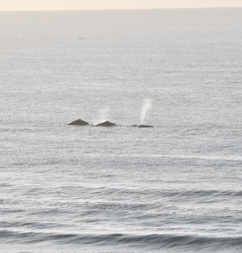 Beach Break - Accommodation Bookings 16