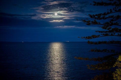 The Sebel Brisbane Margate Beach - Accommodation Bookings 10