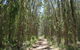 Lake Weyba Noosa Lodge & Kangaroos - thumb 39