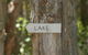 Lake Weyba Noosa Lodge & Kangaroos - thumb 36
