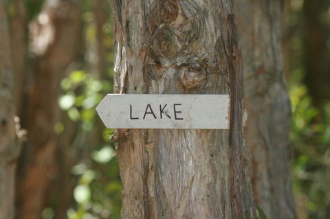 Lake Weyba Noosa Lodge & Kangaroos - Accommodation Bookings 36