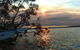 Lake Weyba Noosa Lodge & Kangaroos - thumb 40