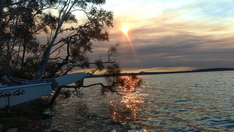 Lake Weyba Noosa Lodge & Kangaroos - Accommodation Bookings 40