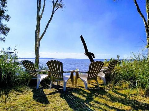 Lake Weyba Noosa Lodge & Kangaroos - Accommodation Bookings 44