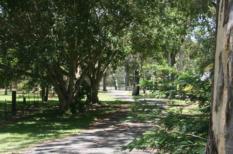 Lake Weyba Noosa Lodge & Kangaroos - Accommodation Bookings 34