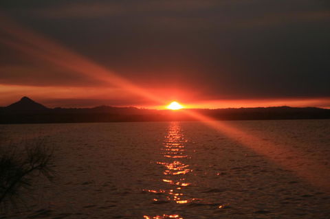Lake Weyba Noosa Lodge & Kangaroos - Accommodation Bookings 41