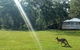 Lake Weyba Noosa Lodge & Kangaroos - thumb 26