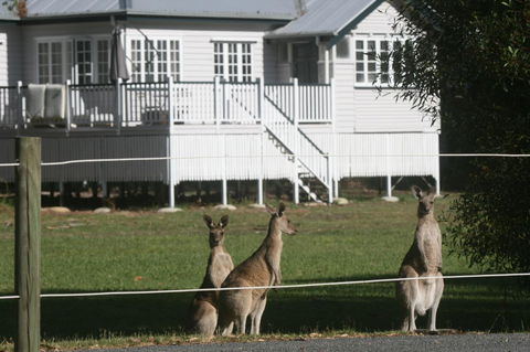 Lake Weyba Noosa Lodge & Kangaroos - Accommodation Bookings 28