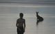 Lake Weyba Noosa Lodge & Kangaroos - thumb 37