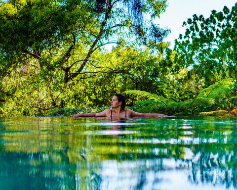 Rainbow Ocean Palms Resort - Accommodation Bookings 5