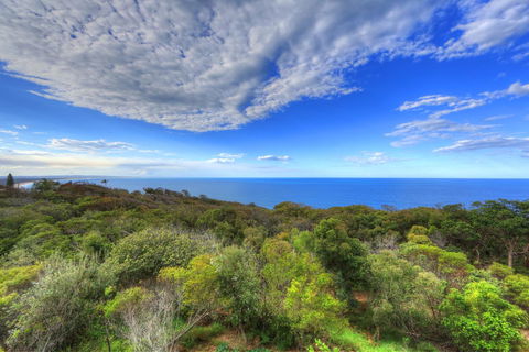 Rainbow Ocean Palms Resort - Accommodation Bookings 17