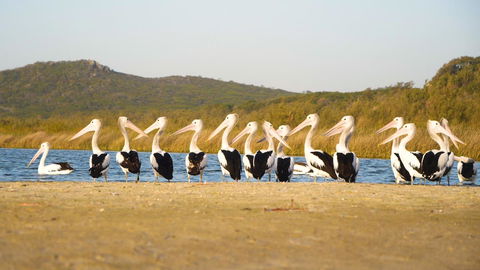 Castaways Moreton Island - Accommodation Bookings 11