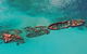 Castaways Moreton Island - thumb 10
