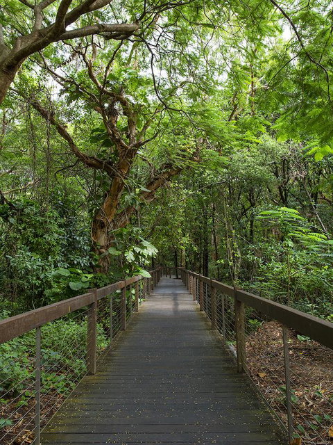 Hotel Grand Chancellor Palm Cove - Accommodation Bookings 29