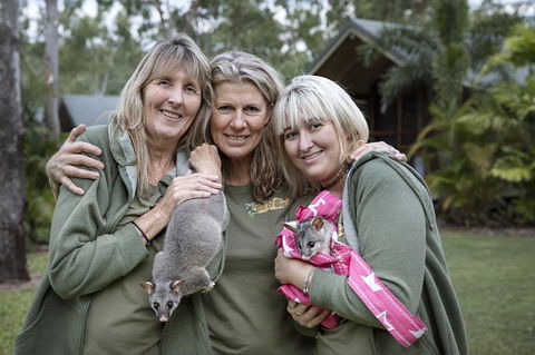 Airlie Beach Eco Cabins - Adults Only - Accommodation Bookings 23