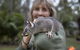 Airlie Beach Eco Cabins - Adults Only - thumb 11