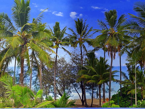 By The Sea Port Douglas - Accommodation Bookings 3