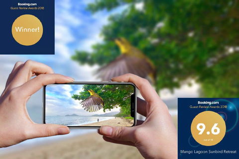 Mango Lagoon Sunbird Retreat - Accommodation Bookings 1