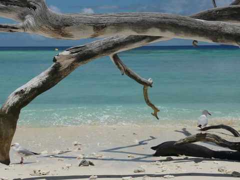 Beach Club Port Douglas Luxury Apartments - Accommodation Bookings 23