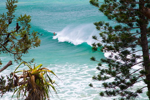 Rainbow Bay Backpackers - Accommodation Bookings 15