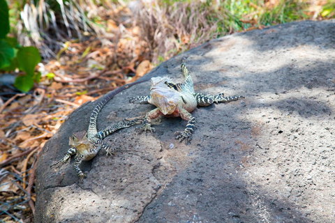 Rainbow Bay Backpackers - Accommodation Bookings 21