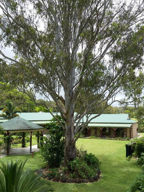 The Bearded Dragon Boutique Hotel - Accommodation Bookings 32
