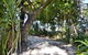 PK\'s Jungle Village - thumb 28