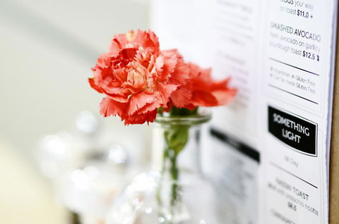 Madison Plaza Townsville - Accommodation Bookings 20