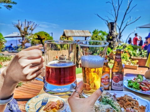 The Polish Place - Accommodation Bookings 1
