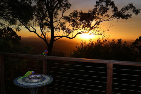 The Polish Place - Accommodation Bookings 17