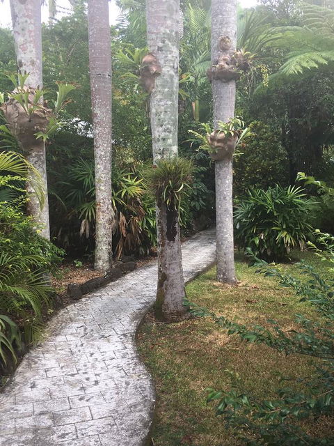 Eco Village Mission Beach - Accommodation Bookings 6