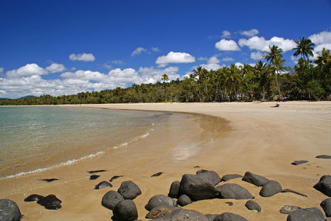 Eco Village Mission Beach - Accommodation Bookings 5