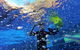 Martinique Whitsunday Resort - thumb 22